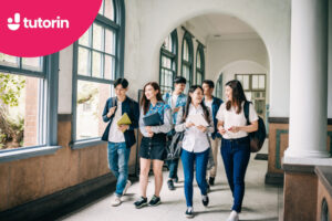 bài mẫu IELTS Writing Task 1 dạng Mixed chart (Phần 12)