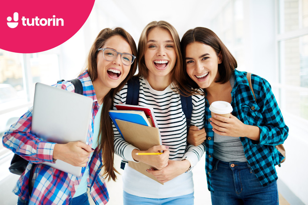 bài mẫu IELTS Writing Task 1 dạng Pie chart (Phần 12)