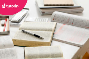 bài mẫu IELTS Writing Task 1 dạng Pie chart (Phần 19)