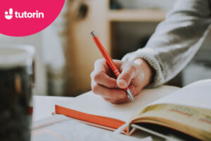 bài mẫu IELTS Writing Task 1 dạng Pie chart (Phần 9)